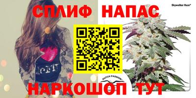 крисы Брянск