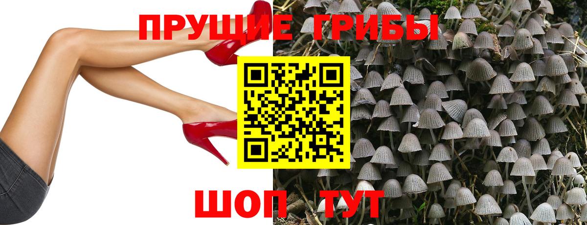 Новозыбков  Псилоцибиновые грибы прущие грибы  Вход с VPN 